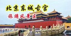 无码爽片肛交中国北京-东城古宫旅游风景区